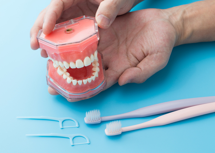 定期的な通院による予防措置と健康維持を大切にしています